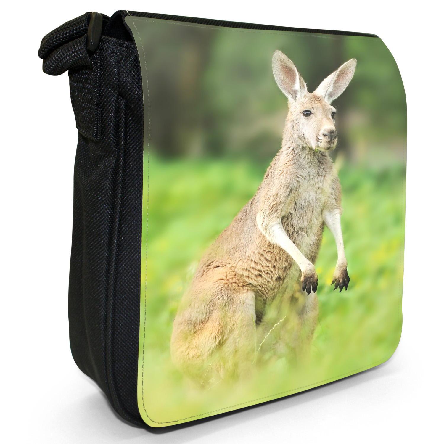 List 99+ Pictures Sack Inside A Kangaroo Pouch Full HD, 2k, 4k